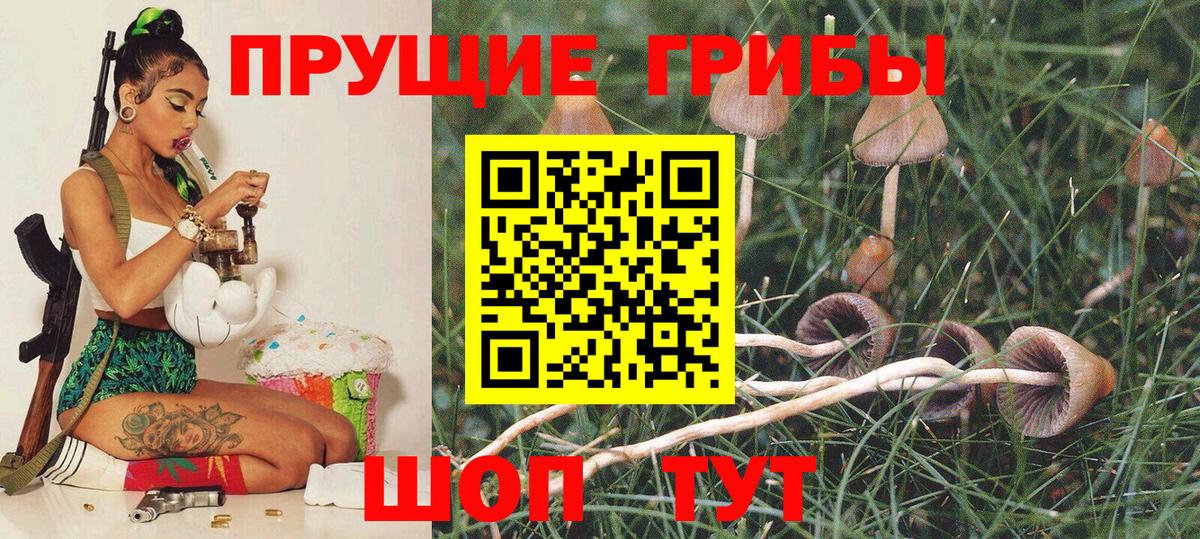 купить наркотики сайты  Вход с VPN  Южно-Сахалинск  Галлюциногенные грибы ЛСД 